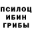 Псилоцибиновые грибы Psilocybe Nastya Svidler