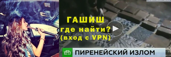 хмурый Арсеньев