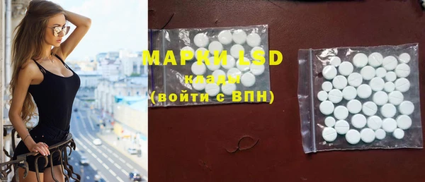 хмурый Арсеньев
