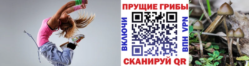 Псилоцибиновые грибы Psilocybe  Лермонтов 